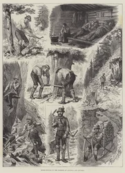 Taglio del legno nelle foreste di Austria e Baviera
